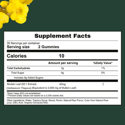 Primal Origins® Mullein Lung Detox Gummies – Clear Mucus & Breathe Easy
